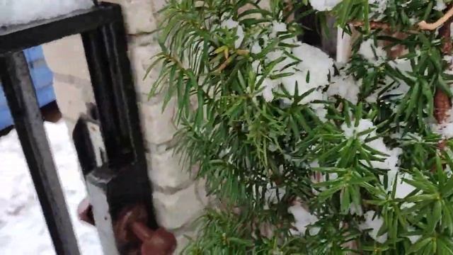 2 апреля в Польше выпал снег, намело за ночь.