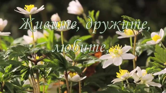 Всех с Первомаем поздравляю