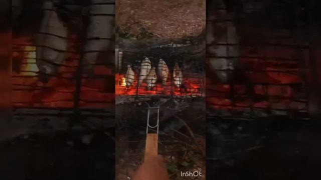 На рыбалке 2024