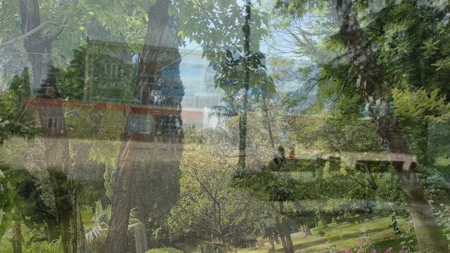 Симпатичный сквер в центре Сочи