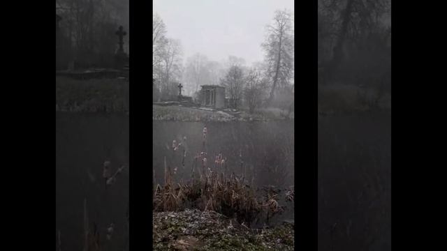 ✨ СПб (26 апреля 25) ✨