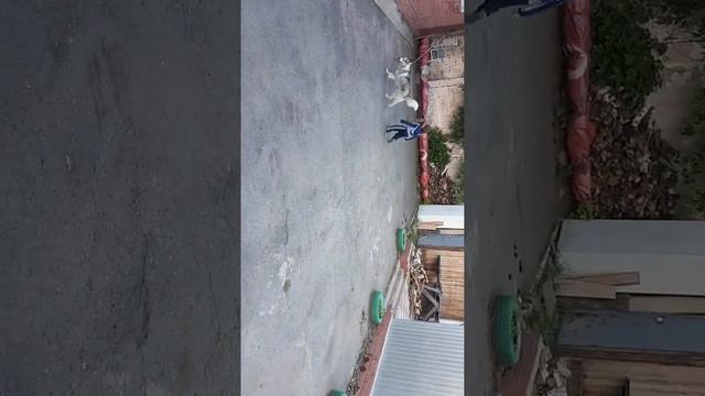 Друг