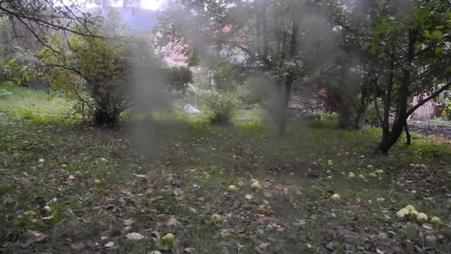 Под ногами твоими снежок, всё хрустит