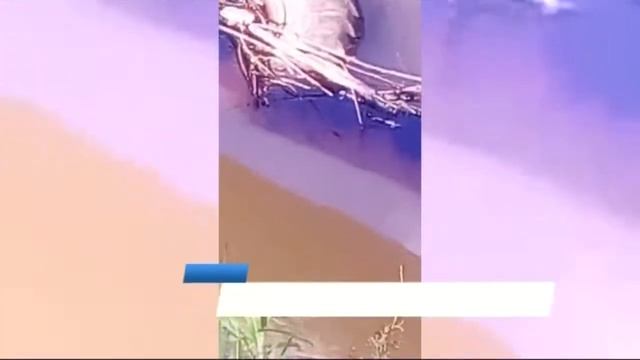 Телевизионная служба новостей (1 июля)