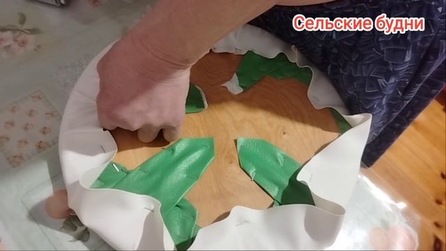 Томаты на 27 апреля и собака породы Хаски