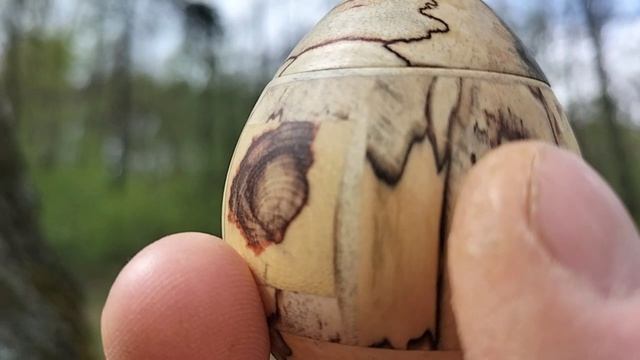 Шкатулка в весеннем лесу на березе