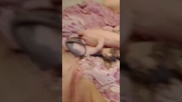 новый котик