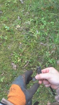 Монета по счёту восьмая #клад #копатель #коп #metaldetecting #находки #находкисметаллоискателем