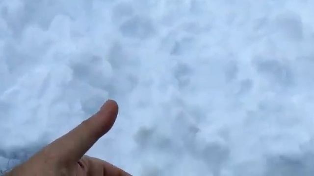 Покатушки