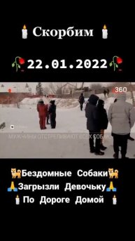 скорбим, девочку загрызли собаки😭😭😭😭