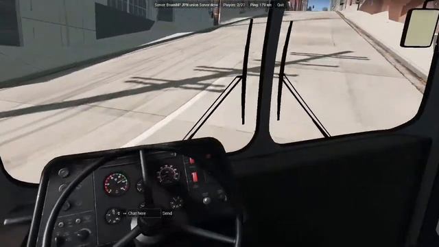 Different Types of players in Beamng.drive