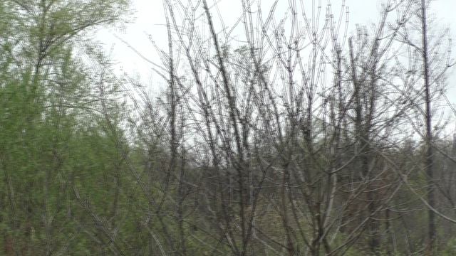 Эта Высоковольтка Поставили Её В Далёком В 1982 Году От 26 04 2025 г.