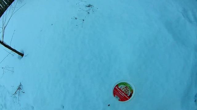 Апитерапия. Вторая жизнь застывших пчел.
