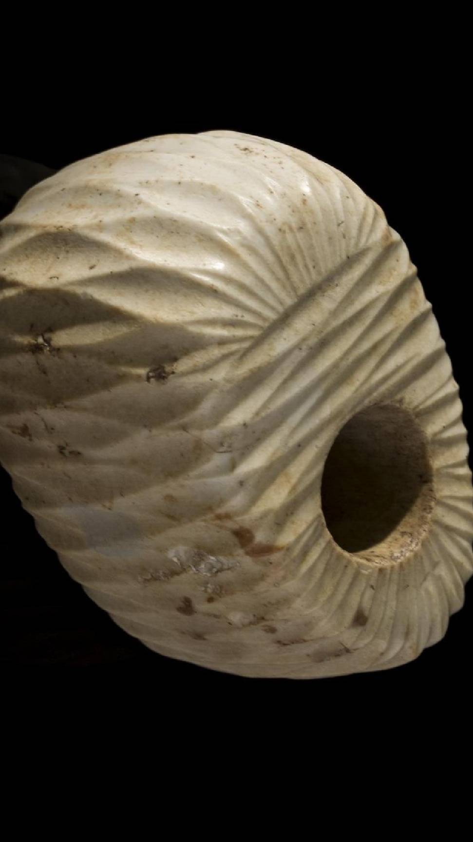 Древняя булава с геометрически правильным орнаментом найдена в Уэльсе