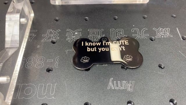 EM-Smart - 20W Fiber Laser marking stainless steel dog tag laser marking metal