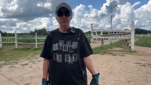 Случилось за неделю: лошадь получила жуткую травму, у нас новая собака и сложный вопрос про возраст