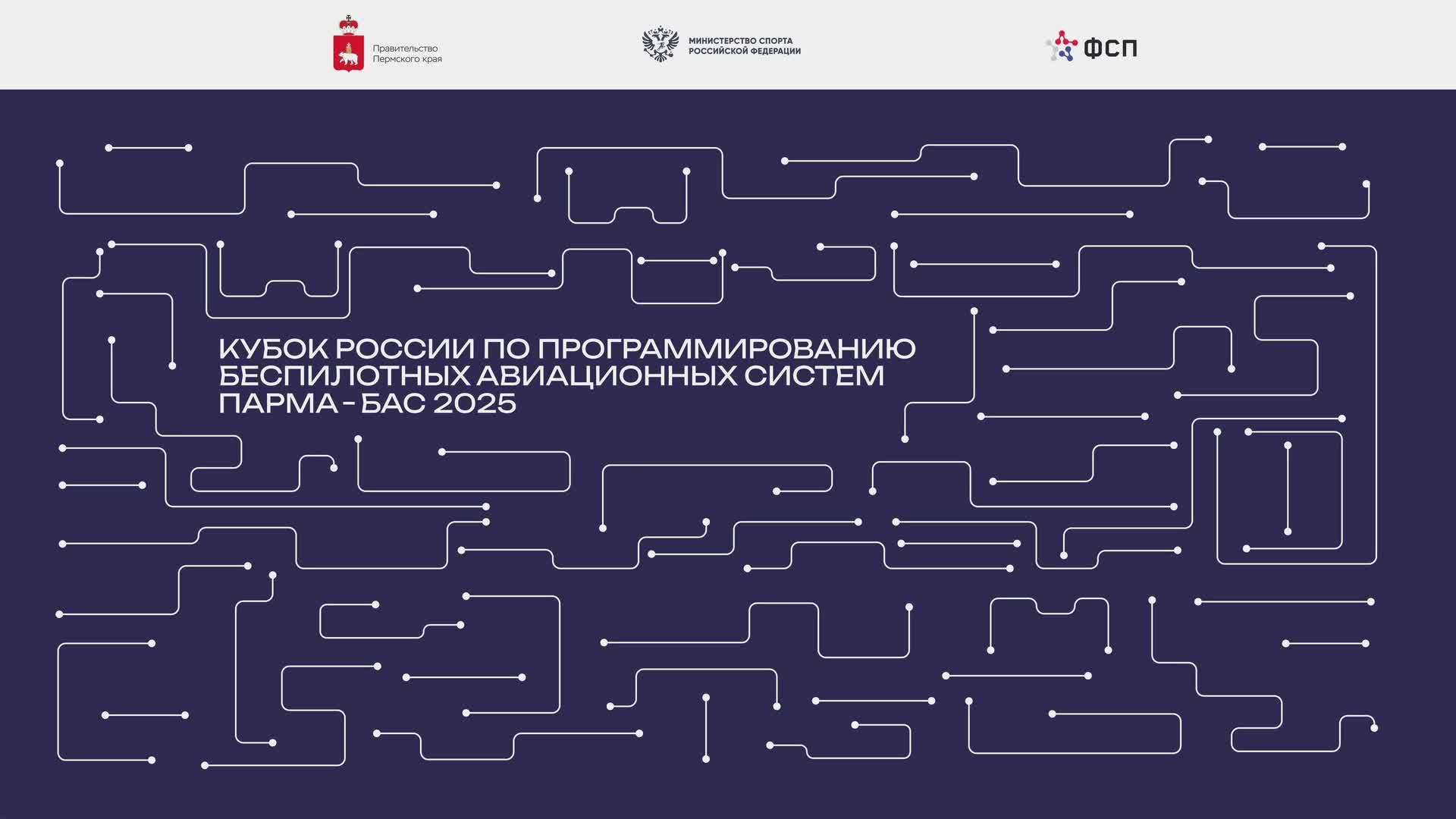 Кубок России по программированию БАС 2025