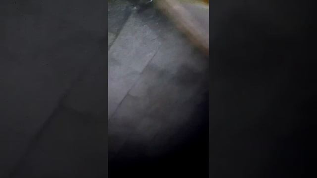 СЛУЧАЙ В ТУАЛЕТЕ