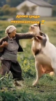 Драка среди механизаторов 😂#прикол #смех #бабка #корова