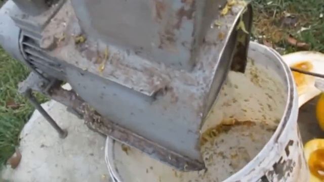 Хроника 2018. Часть 6. Закончился сентябрь -  а где же бабье лето?