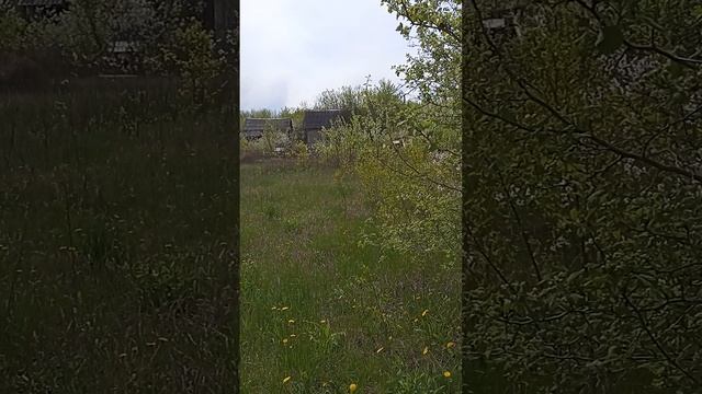 Весною