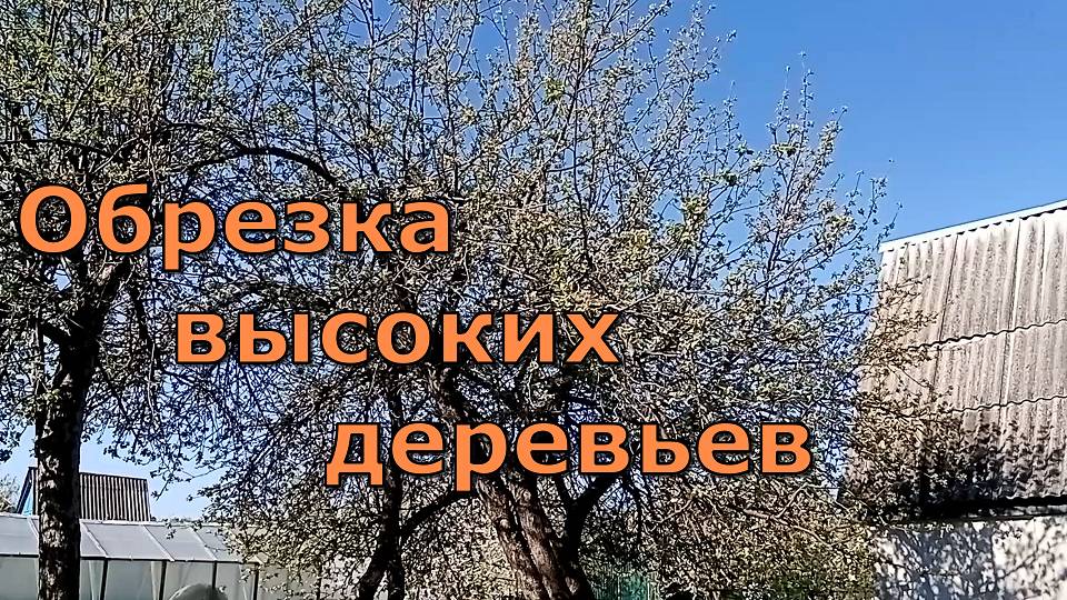 Ножовка на штанге, облагораживаем яблони