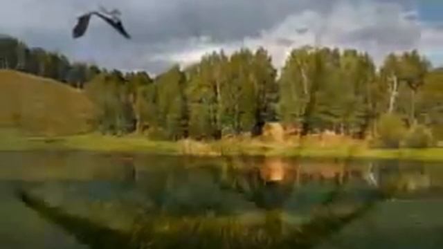 Buba 1.1. Виноградная косточка.mp4