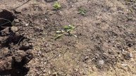 Самый лучший отдых. Чудеса случаются.