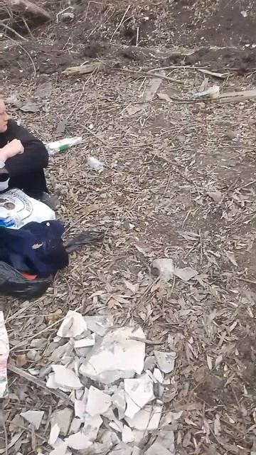 городская жизнь