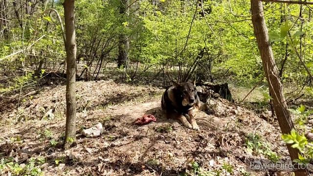 Вот такая #любовь 😜...