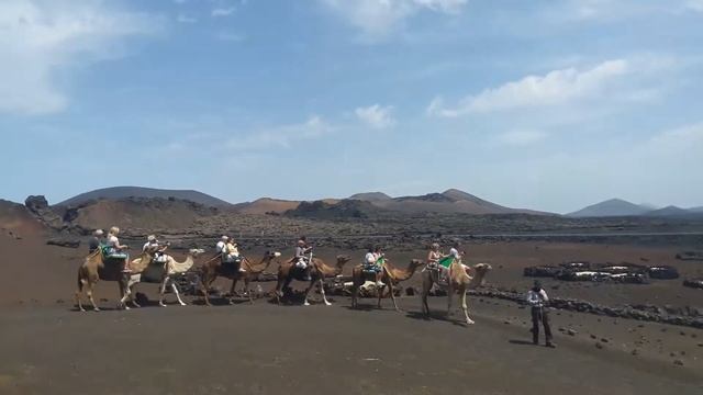 Ветер дует, а караван пи*дует.