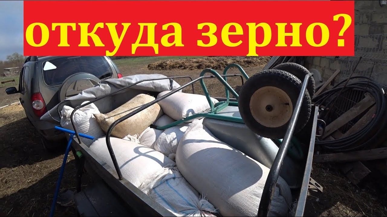 Откуда зерно? Деревенские будни / Семья в деревне LIFE