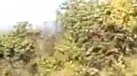 0 1а БАХЧИ ВИД С г БЕШИК ТАУ 511м