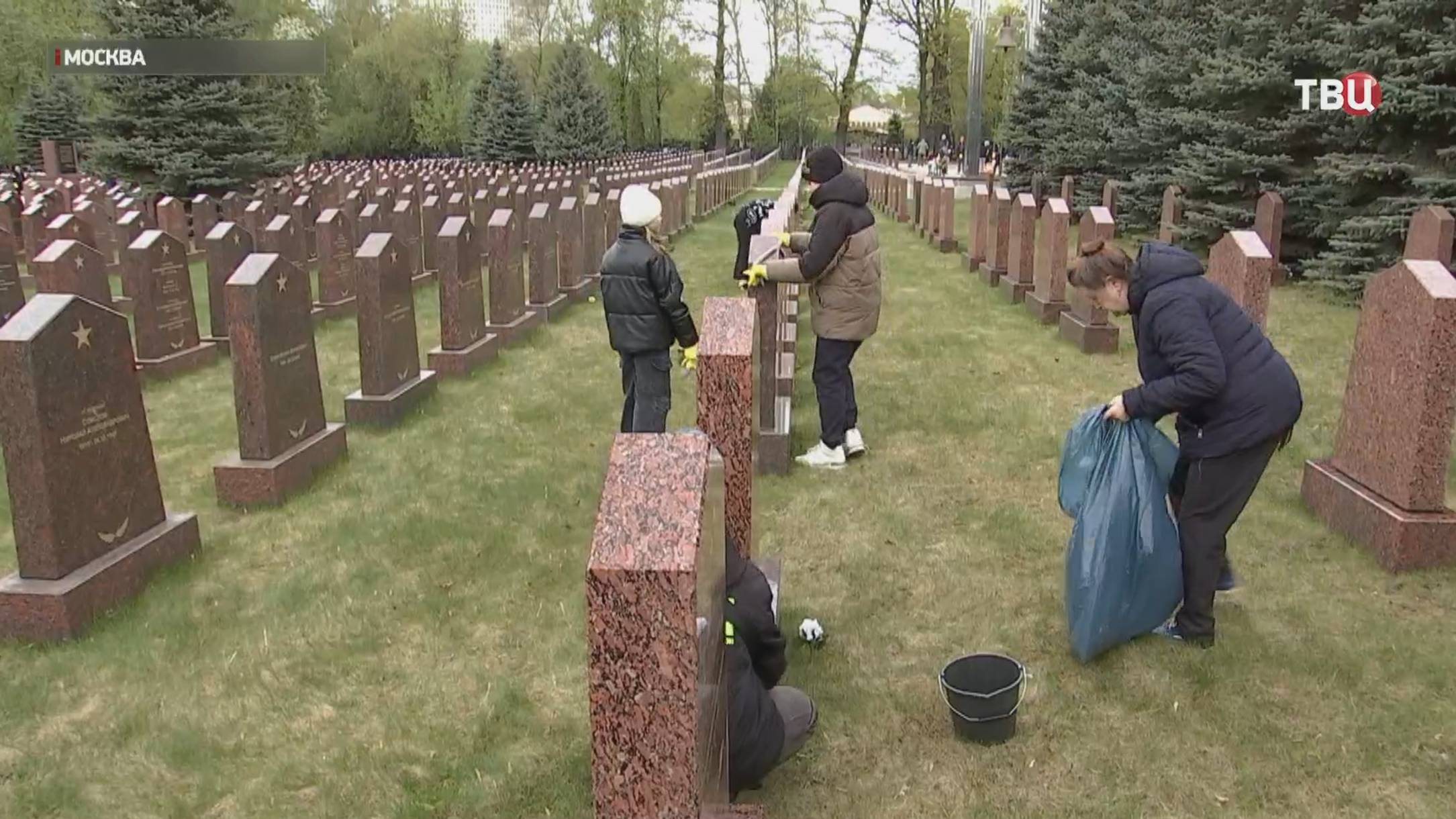 На ВДНХ к 80-летию Победы появилась кленовая аллея памяти / События на ТВЦ