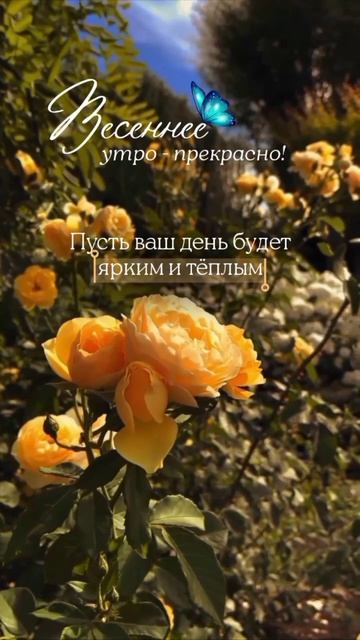 Прекрасного утра.