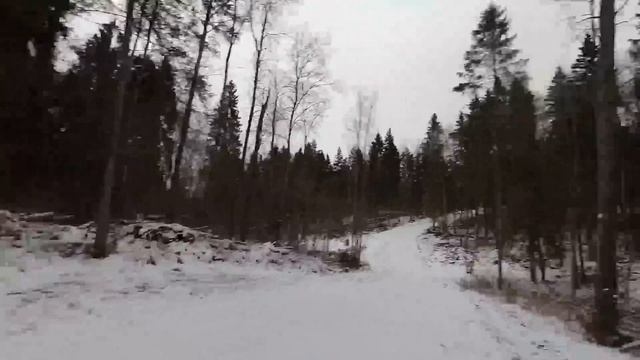 Чемпионат и первенство Тверской области по лыжным гонкам– 1 тур. 12.01.2020. гонка приследования