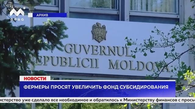 Новости Mega TV 20 июня 2024