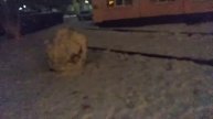 Неудачные моменты со съёмок "Обзора на снеговика"