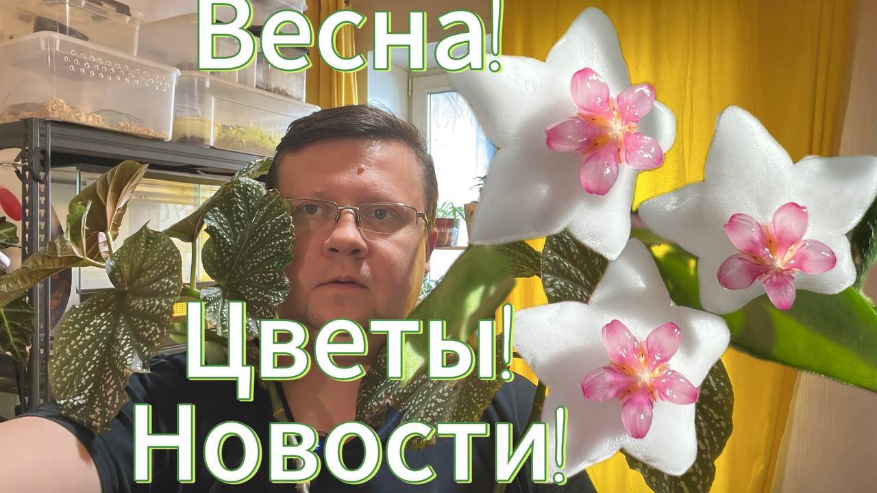 Весна! Цветы! Новости!