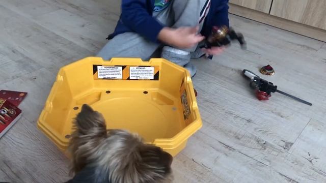 Beyblade Cho-Z Spriggan Spryzen S5 Обзор Спрайзен 5