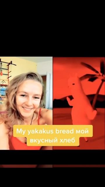 Перевод песни ламы