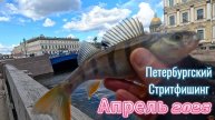 ПЕТЕРБУРГСКИЙ СТРИТФИШИНГ ОКУНЬ АПРЕЛЬ 2025 РЕКА НЕВА МОЙКА КАНАЛЫ ГРИБОЕДОВА КРЮКОВ ЛОВЛЯ ОКУНЯ