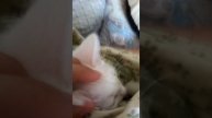 Короткий путь к знаниям .
