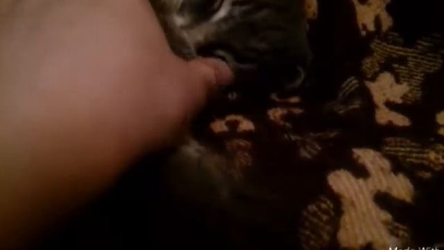 Пробное видео от Гули🐥