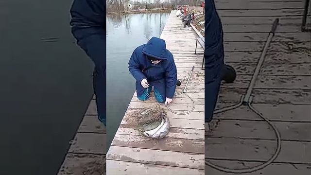 19.03.24, завершение рыбалки