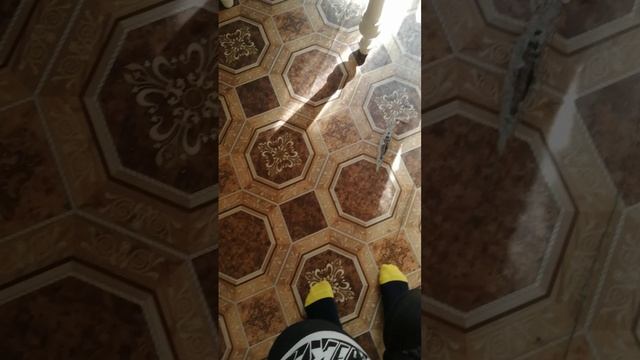 Ящерка