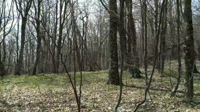 Очередной выход в горы. Без находок не остался.