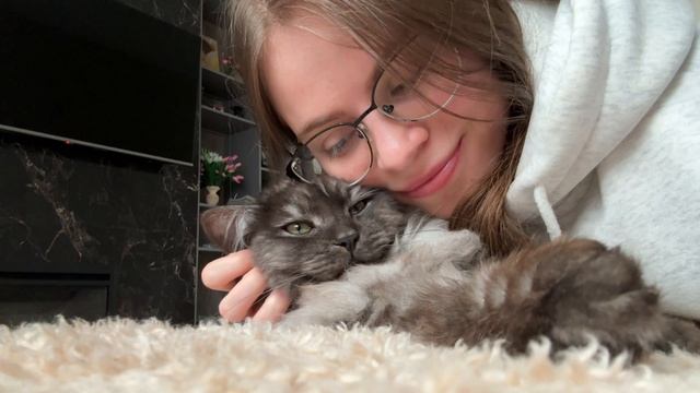 В МИРЕ ЖИВОТНЫХ | МОЙ СПЯЩИЙ КОТ