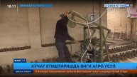 Кўчат етиштиришда янги агро усул