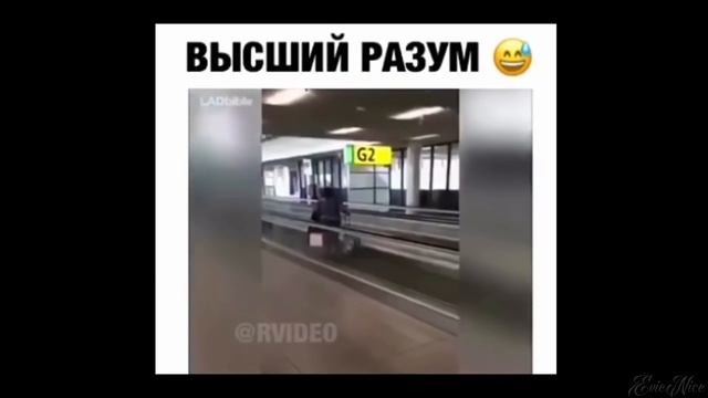 ТЕСТ НА ПСИХИКУ, Я УВЕРЕН НА ВСЕ 100% ЧТО ТЫ ЗАСМЕЁШЬСЯ!